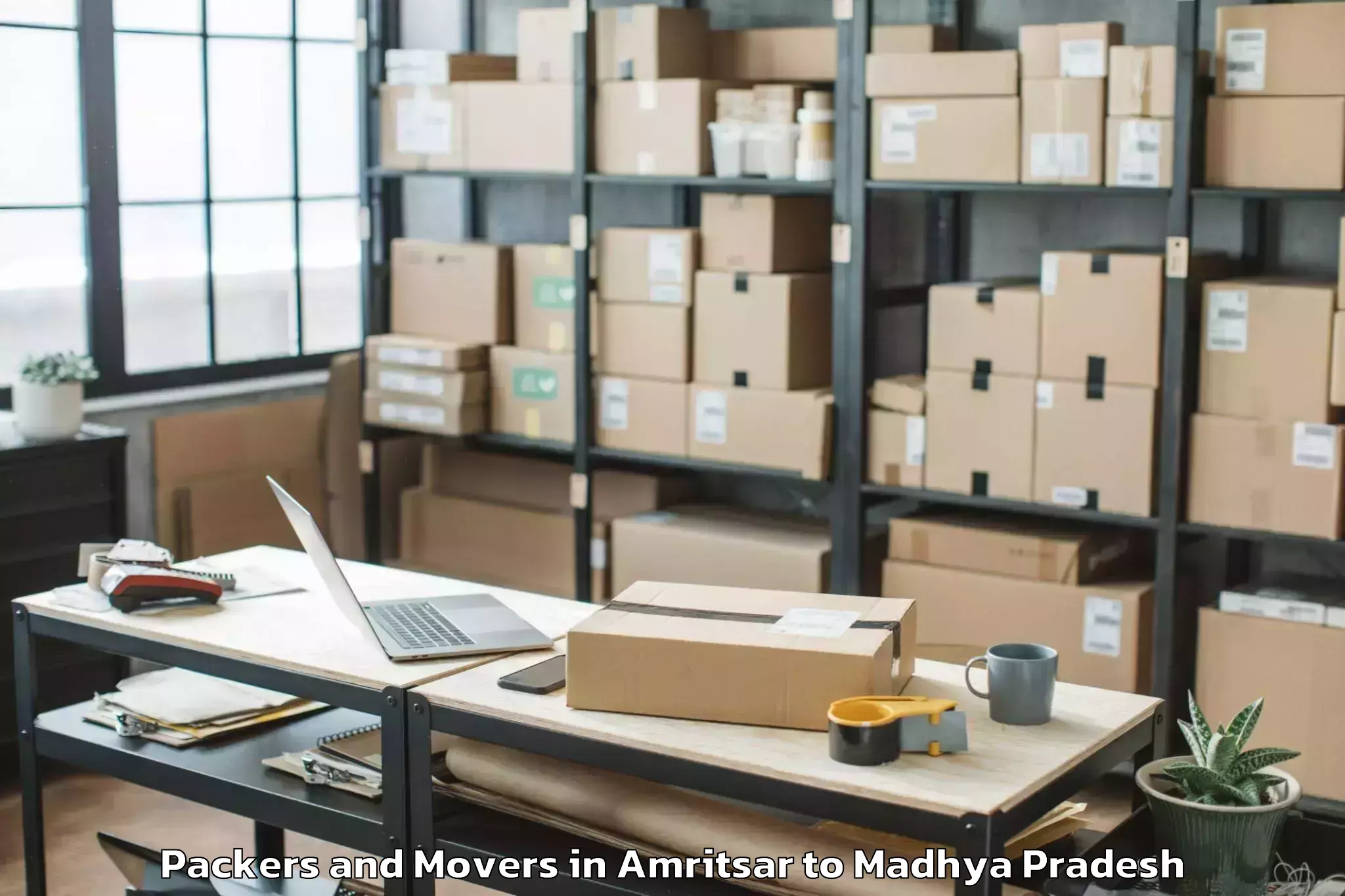 Professional Amritsar to Indore Packers And Movers